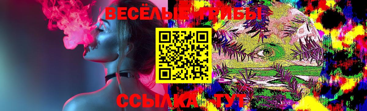 как найти   Вход с VPN  Аксай  Псилоцибиновые грибы ЛСД 